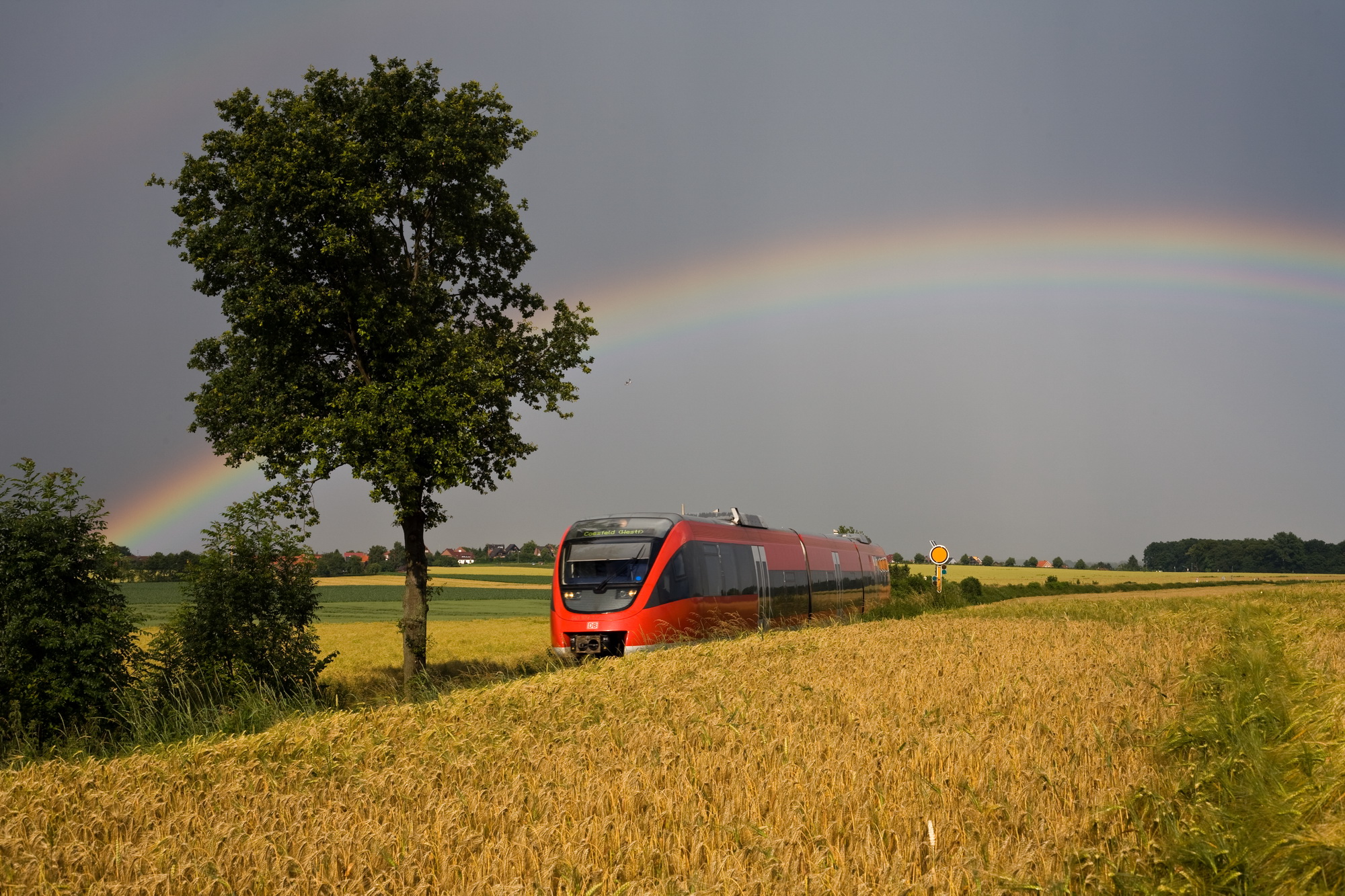 Baumerbergebahn mit Regenbogen